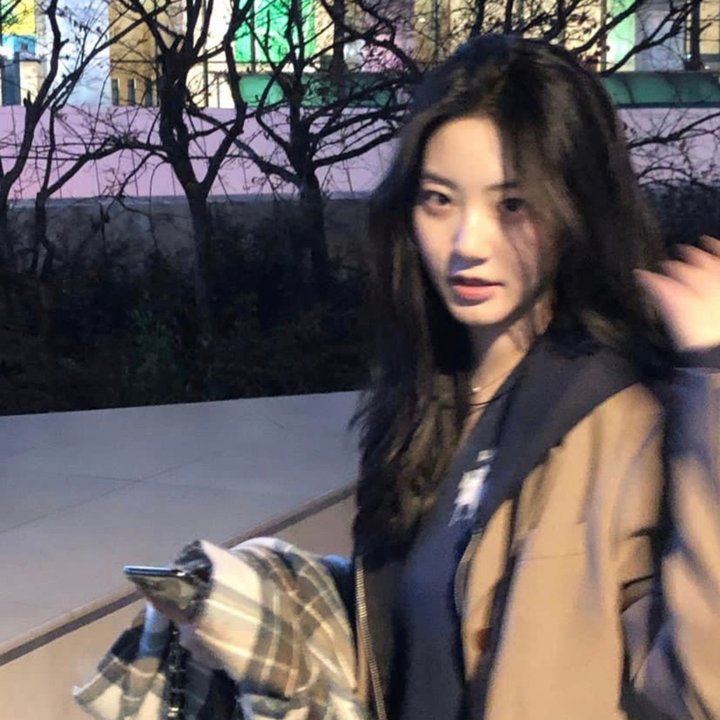今日份的散步